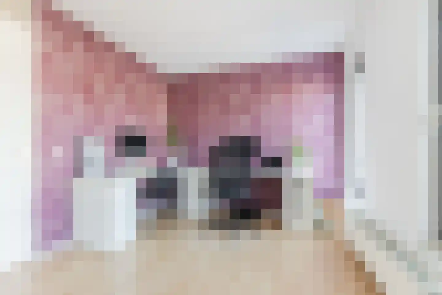 Zonnewende 49 Apeldoorn thumbnail 21