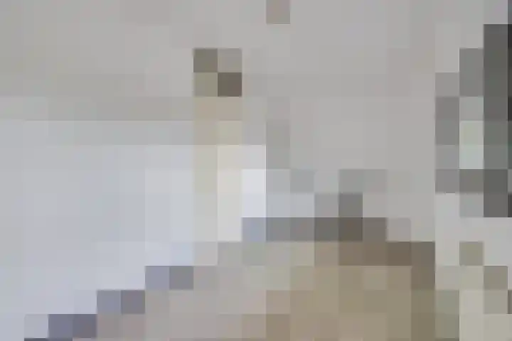 Zonnewende 55 Apeldoorn thumbnail 22