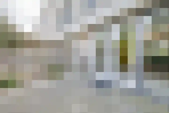 Zonnewende 55 Apeldoorn thumbnail 28