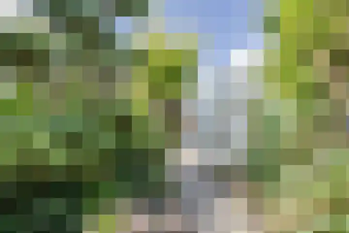 Zonnewende 55 Apeldoorn thumbnail 30