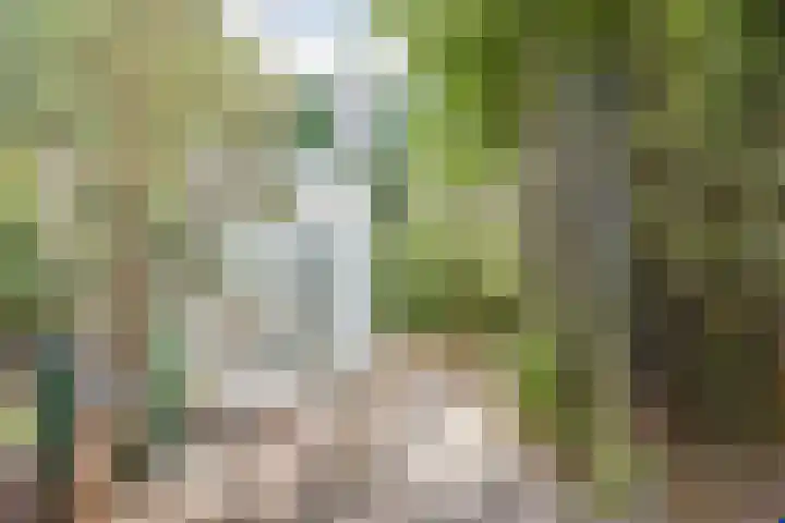 Zonnewende 55 Apeldoorn thumbnail 31