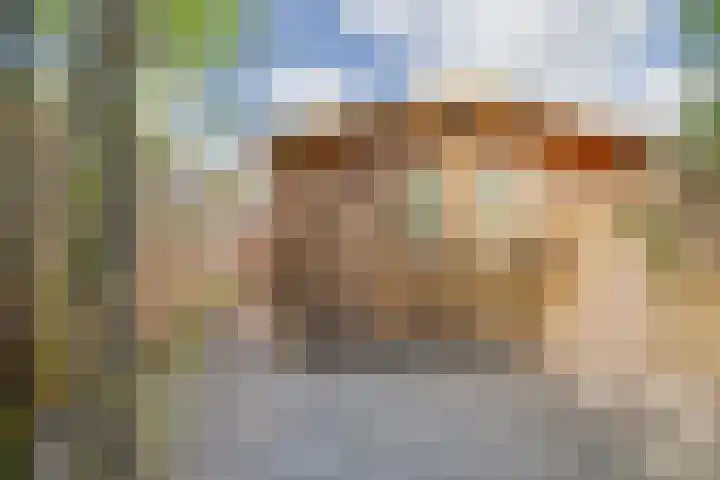 Zonnewende 55 Apeldoorn thumbnail 32
