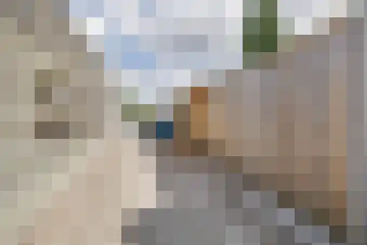 Zonnewende 55 Apeldoorn thumbnail 34