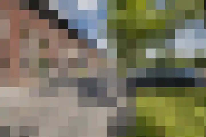 Zonnewende 55 Apeldoorn thumbnail 37