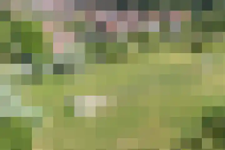 Zonnewende 55 Apeldoorn thumbnail 38