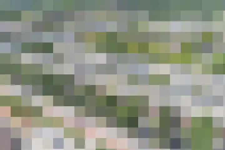 Zonnewende 55 Apeldoorn thumbnail 39