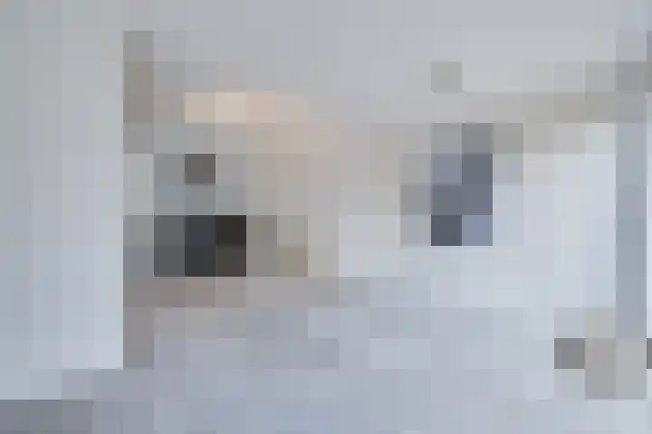 Zonnewende 55 Apeldoorn thumbnail 5