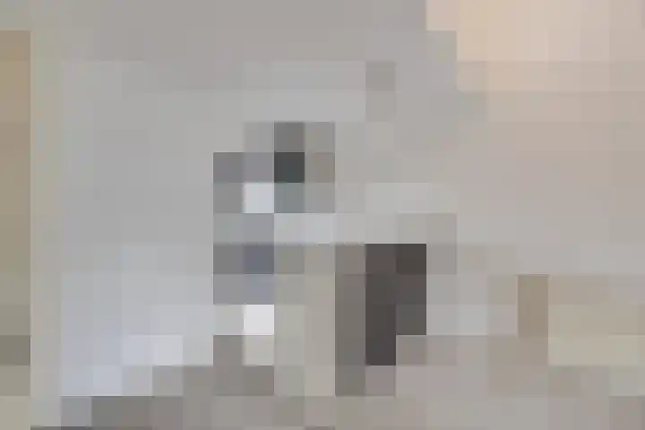 Zonnewende 55 Apeldoorn thumbnail 7