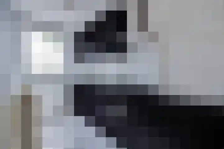 Zonnewende 55 Apeldoorn thumbnail 8