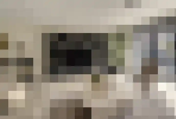 Zonnewende 63 Arnhem thumbnail 11