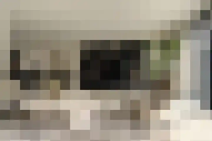Zonnewende 63 Arnhem thumbnail 12