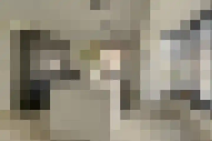Zonnewende 63 Arnhem thumbnail 17