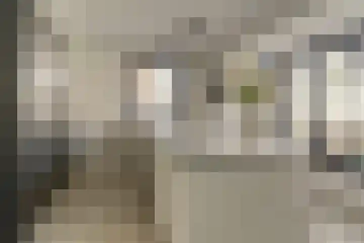 Zonnewende 63 Arnhem thumbnail 18