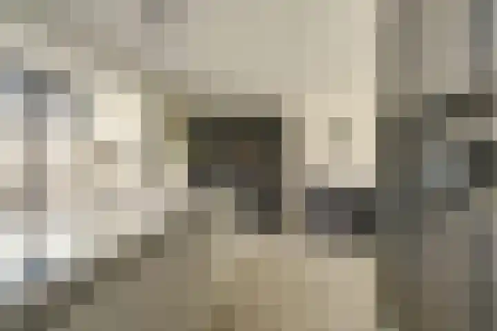 Zonnewende 63 Arnhem thumbnail 19