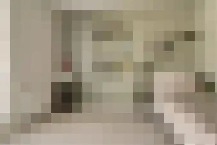 Zonnewende 63 Arnhem thumbnail 28