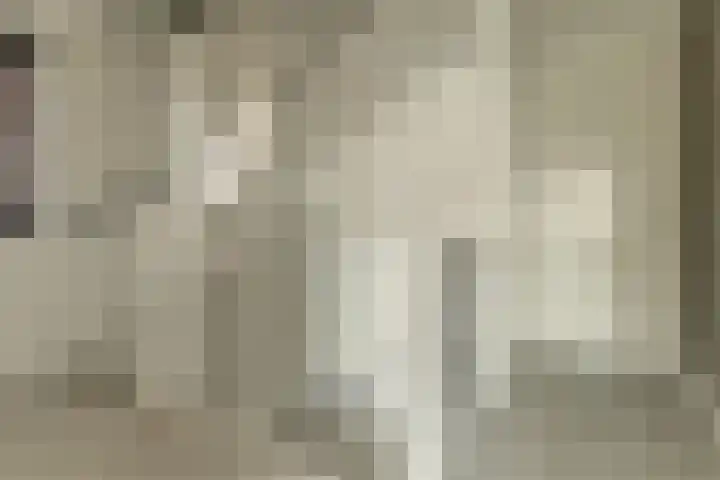 Zonnewende 63 Arnhem thumbnail 32