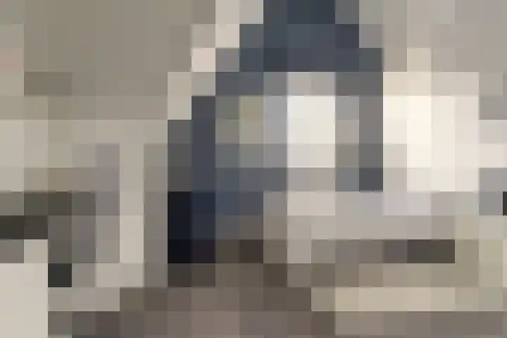 Zonnewende 63 Arnhem thumbnail 35
