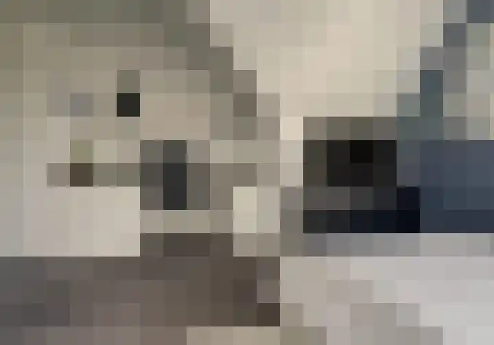 Zonnewende 63 Arnhem thumbnail 37