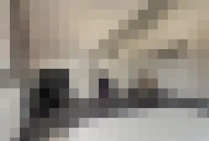 Zonnewende 63 Arnhem thumbnail 38