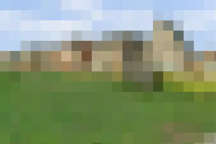Zonnewende 63 Arnhem thumbnail 39