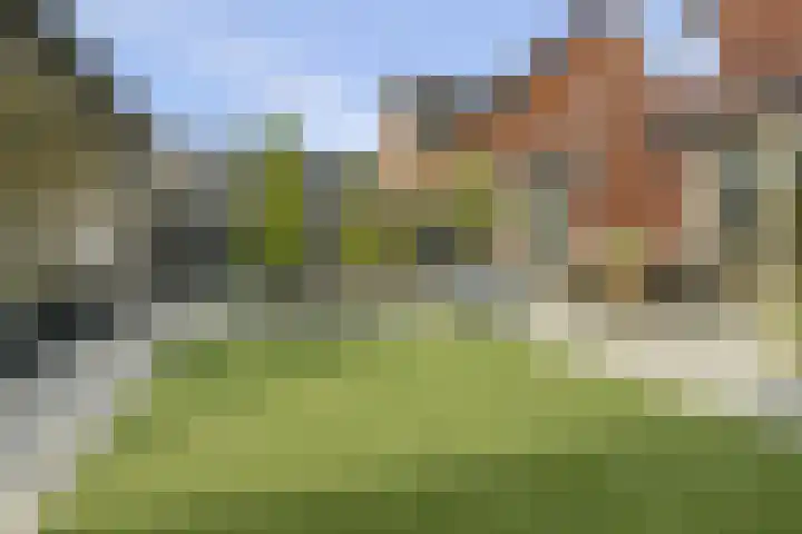 Zonnewende 63 Arnhem thumbnail 4