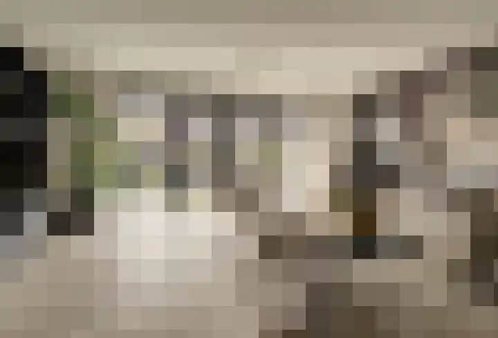Zonnewende 63 Arnhem thumbnail 7