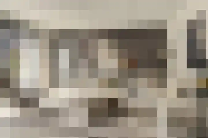 Zonnewende 63 Arnhem thumbnail 8