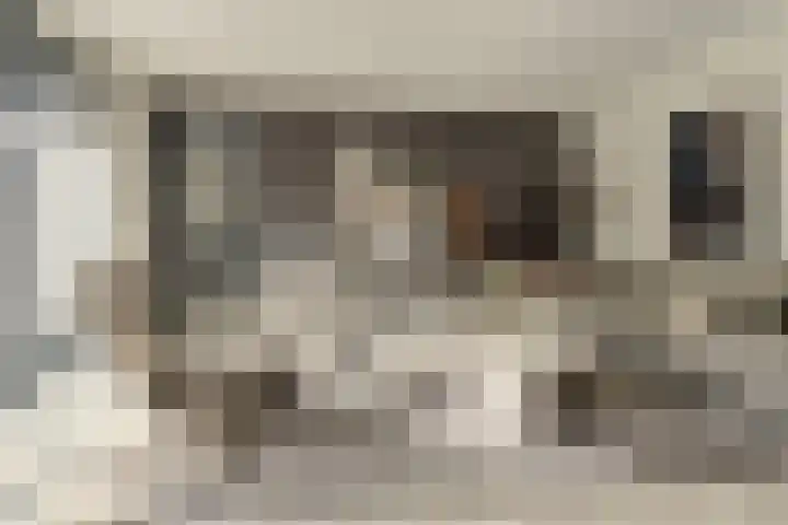 Zonnewende 63 Arnhem thumbnail 9