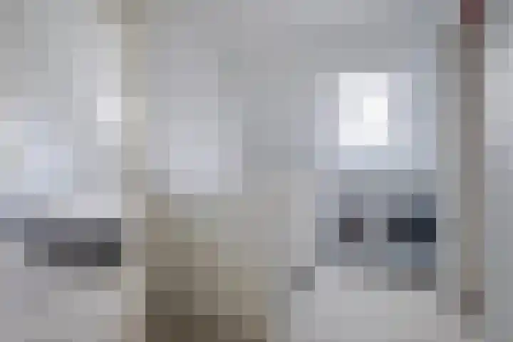 Zonnewende 79 Arnhem thumbnail 24