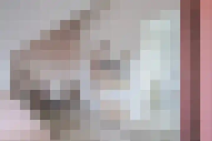 Zonnewende 79 Arnhem thumbnail 30