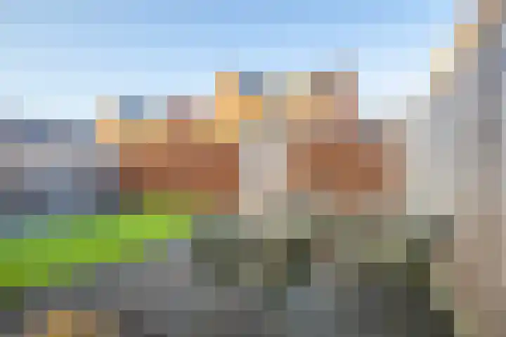 Zonnewende 79 Arnhem thumbnail 33