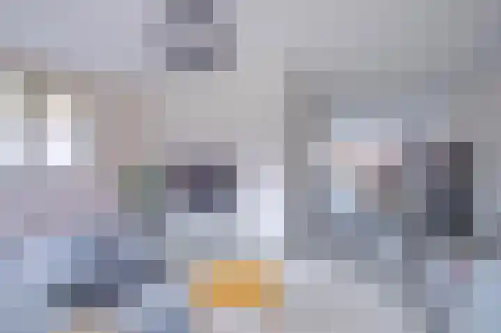 Zonnewende 79 Arnhem thumbnail 9