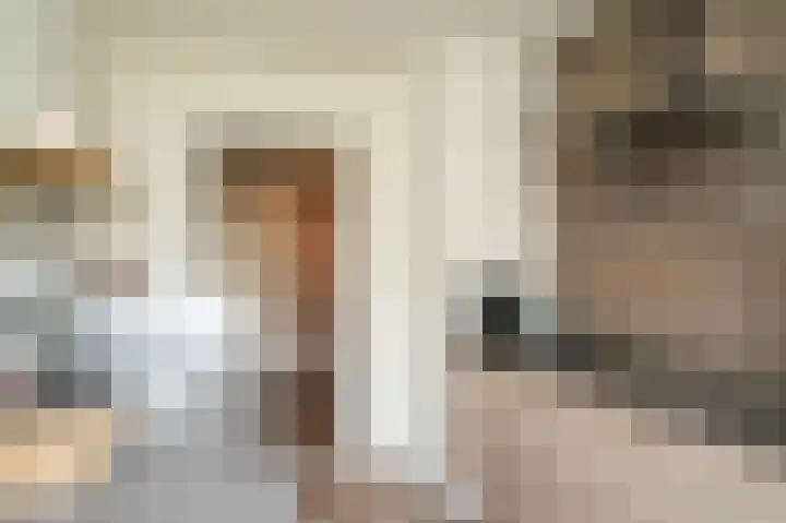 Zonnewoud 20 Boven-Leeuwen thumbnail 10