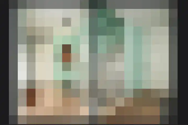 Zonnewoud 20 Boven-Leeuwen thumbnail 13