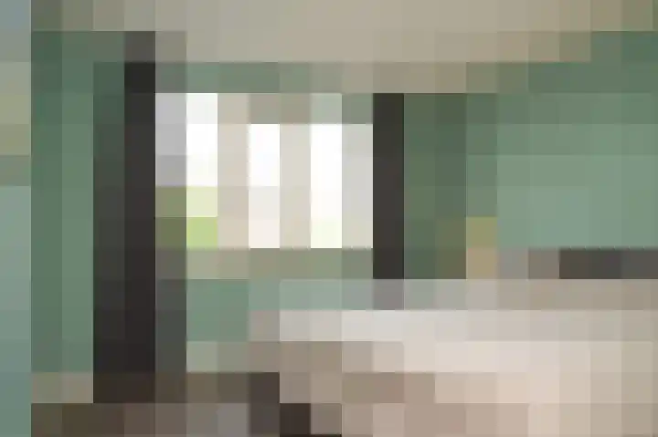 Zonnewoud 20 Boven-Leeuwen thumbnail 15