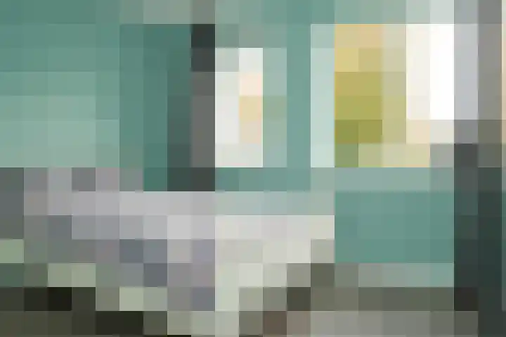 Zonnewoud 20 Boven-Leeuwen thumbnail 17