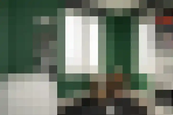 Zonnewoud 20 Boven-Leeuwen thumbnail 21