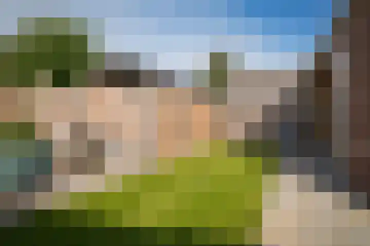 Zonnewoud 20 Boven-Leeuwen thumbnail 27