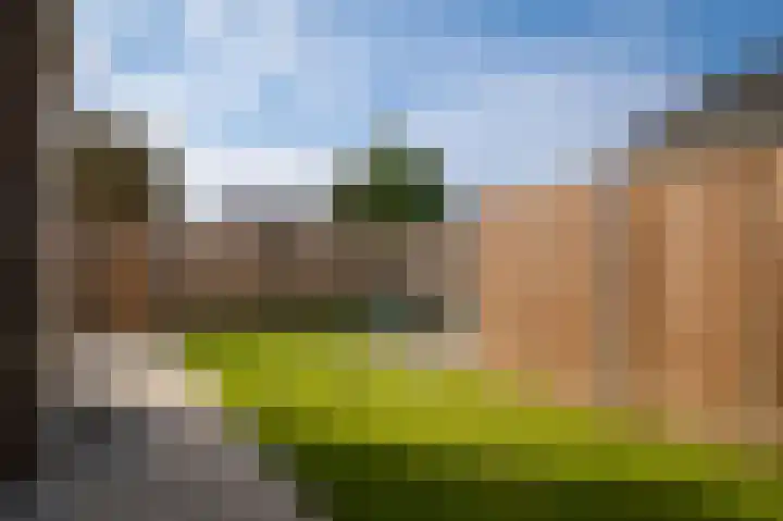 Zonnewoud 20 Boven-Leeuwen thumbnail 28