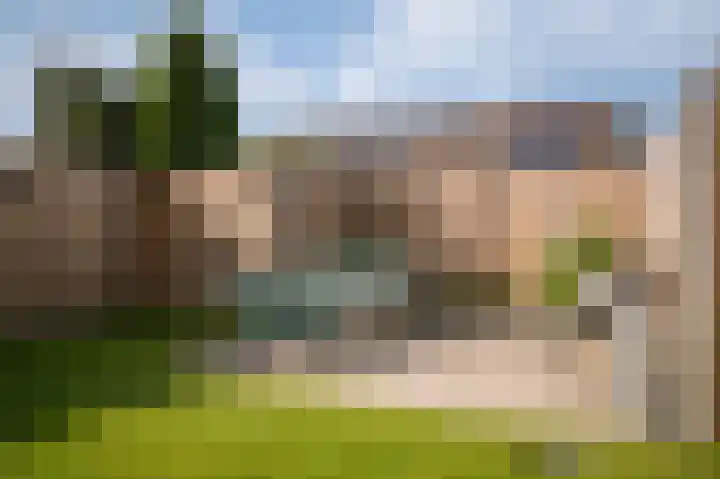 Zonnewoud 20 Boven-Leeuwen thumbnail 32