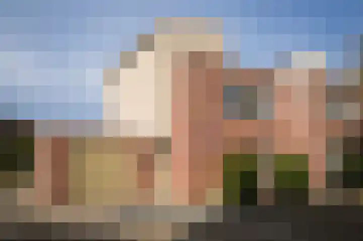 Zonnewoud 20 Boven-Leeuwen thumbnail 33