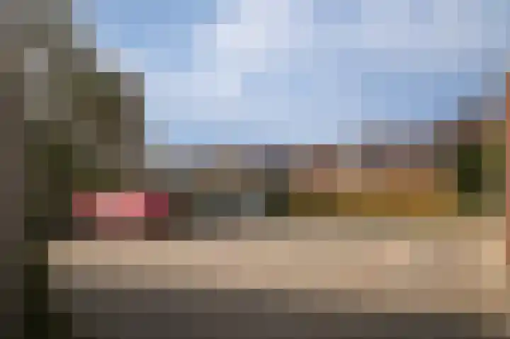 Zonnewoud 20 Boven-Leeuwen thumbnail 34