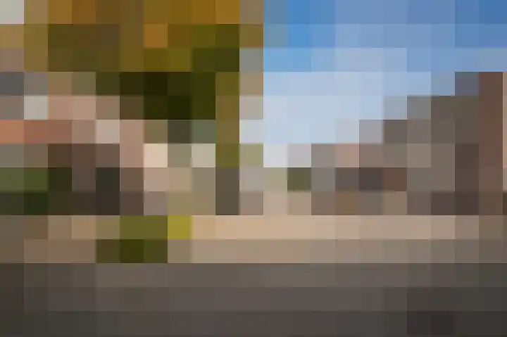 Zonnewoud 20 Boven-Leeuwen thumbnail 35