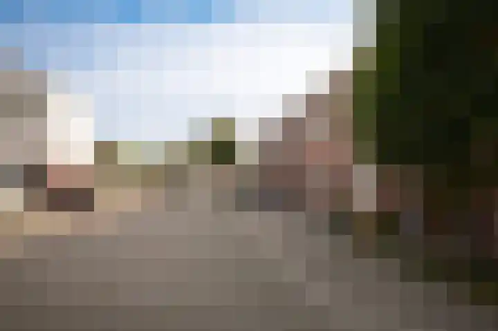 Zonnewoud 20 Boven-Leeuwen thumbnail 36