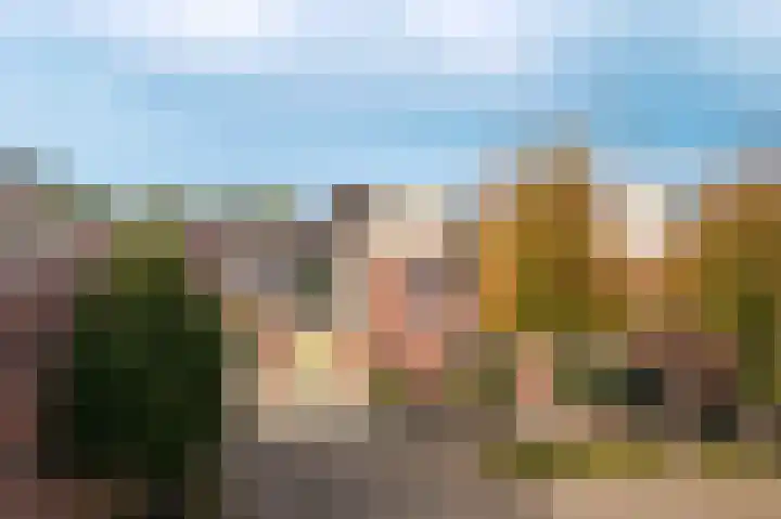Zonnewoud 20 Boven-Leeuwen thumbnail 37