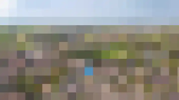 Zonnewoud 20 Boven-Leeuwen thumbnail 39