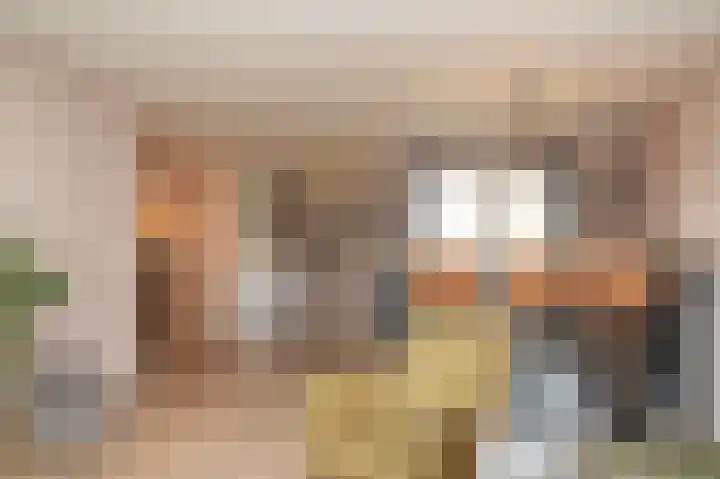 Zonnewoud 20 Boven-Leeuwen thumbnail 4