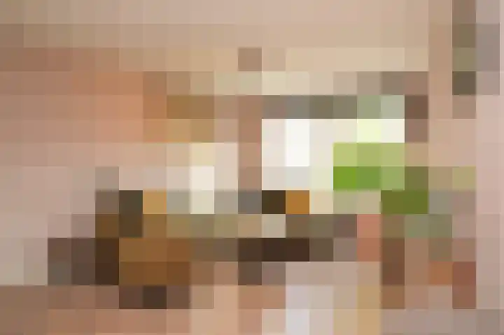 Zonnewoud 20 Boven-Leeuwen thumbnail 5