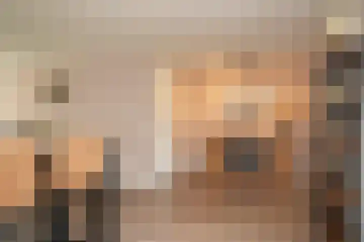 Zonnewoud 20 Boven-Leeuwen thumbnail 6
