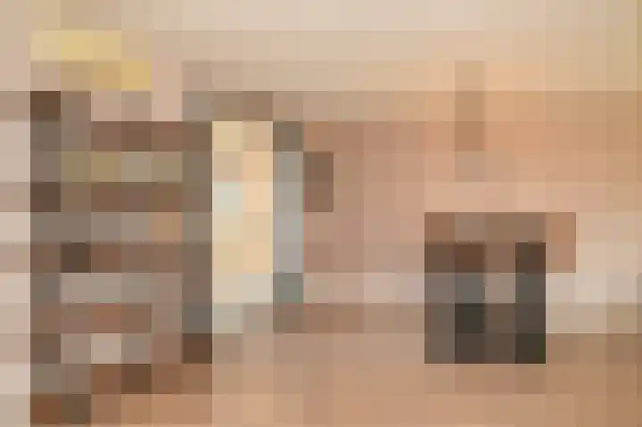 Zonnewoud 20 Boven-Leeuwen thumbnail 7